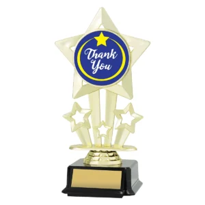 Gold icon star - thank you with plastic construction