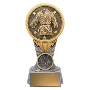 Silver / gold ikon - martial arts with resin construction