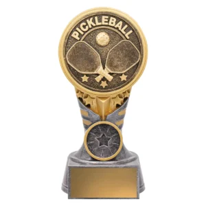 Silver / gold ikon - pickleball with resin construction