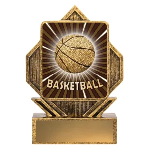 Gold lynx arrow - basketball with resin construction