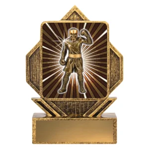 Gold lynx arrow - boxing with resin construction