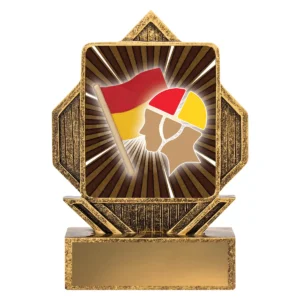 Gold lynx arrow - lifesaving with resin construction