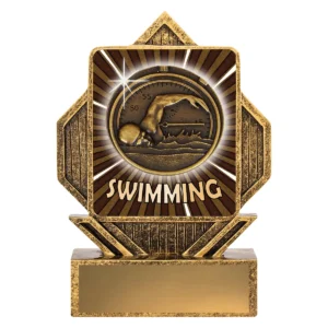 Gold lynx arrow - swim with resin construction