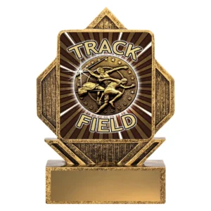 Gold lynx arrow - track & field with resin construction