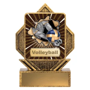 Gold lynx arrow - volleyball with resin construction