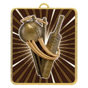 Gold lynx medal - cricket theme with metal construction