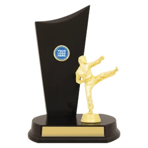 Gold male karate timber crest with plastic / timber construction
