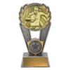 -gold Silver / gold male rugby polaris with resin / metal construction