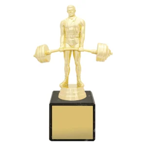 Gold marble column - weightlifting with plastic / marble construction