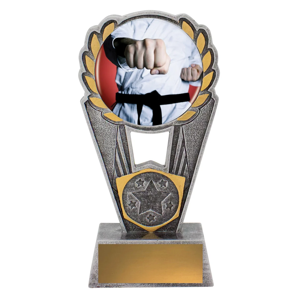 psc451a-silver Silver martial arts polaris - colour with resin construction