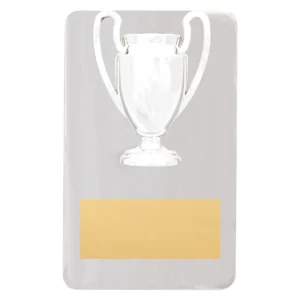 Silver metal achievement plaque with metal construction