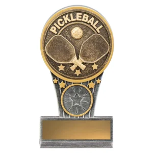 Silver / gold mini pickleball ikon with resin construction