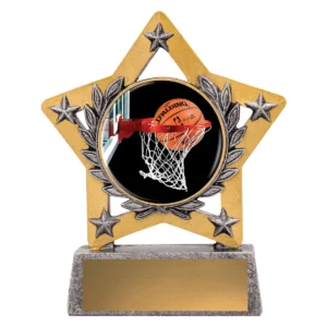 Silver mini star colour - basketball with resin construction