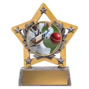 Silver mini star colour - batting with resin construction