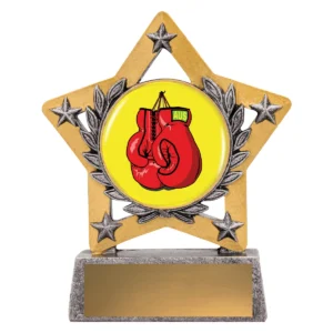 Silver mini star colour - boxing with resin construction