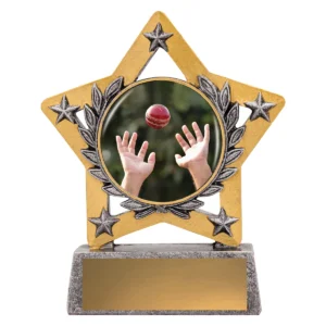 Silver mini star colour - fielding with resin construction