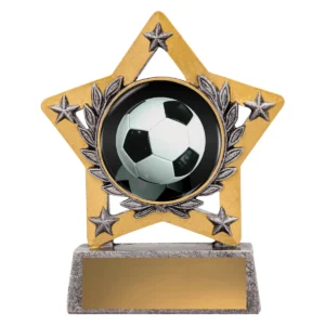 Silver mini star colour - football with resin construction