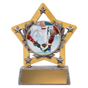 Silver mini star colour - futsal / indoor with resin construction