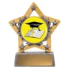 Silver mini star colour - graduate with resin construction