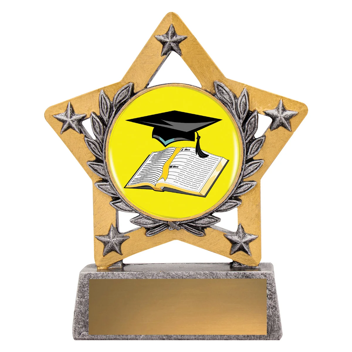 Silver mini star colour - graduate with resin construction