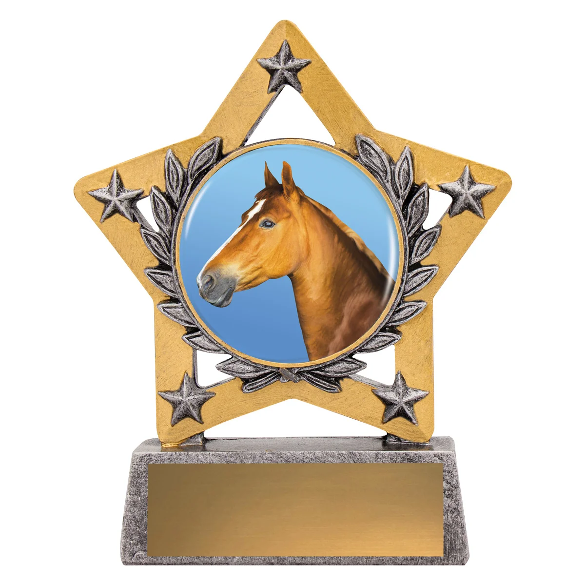 msc352-silver Silver mini star colour - horse with resin construction