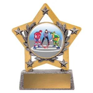 Silver mini star colour - ice hockey with resin construction