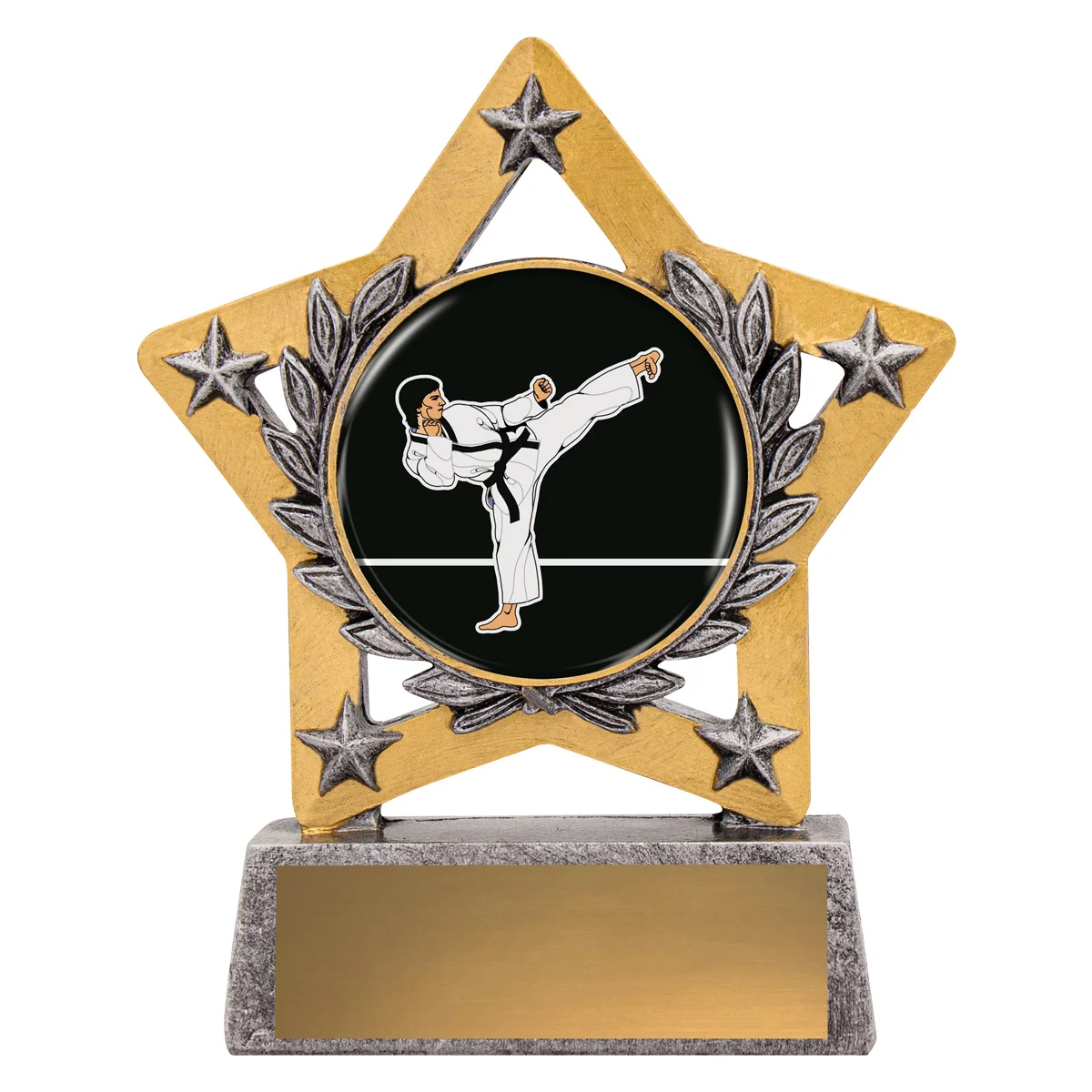 msk111-silver Silver mini star colour - karate with resin construction