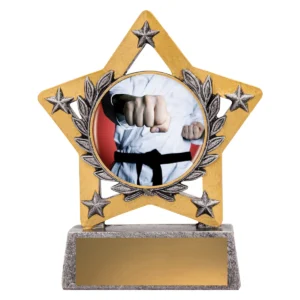 Silver mini star colour - martial arts with resin construction