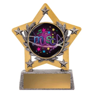 Silver mini star colour - music with resin construction
