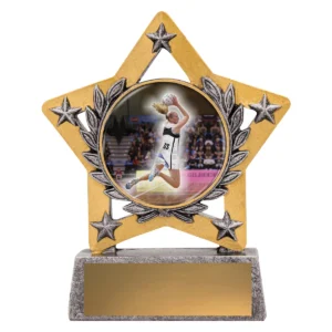 Silver mini star colour - player with resin construction