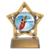 Silver mini star colour - surfing with resin construction