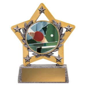 Silver mini star colour - table tennis with resin construction