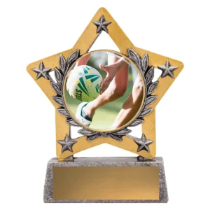 Silver mini star colour - touch with resin construction