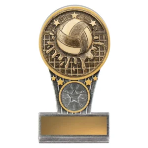 Silver & gold mini water polo ikon with resin construction