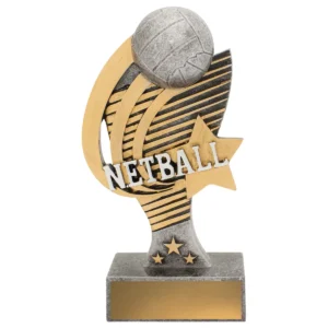 Silver netball coda with resin construction