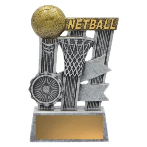 Silver netball silver ribbon with resin construction