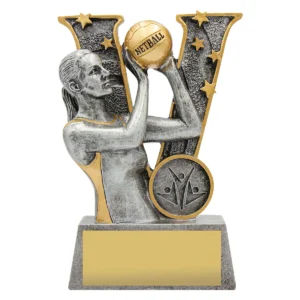 Silver netball v- series with resin construction