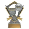 a3037a-silver Silver netball valour with resin construction