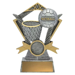 Silver netball valour with resin construction