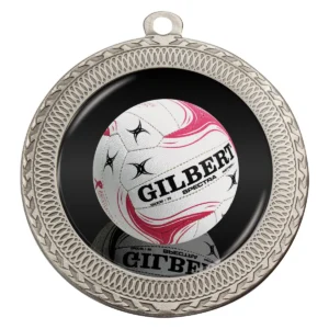 Silver ovation - netball with metal construction