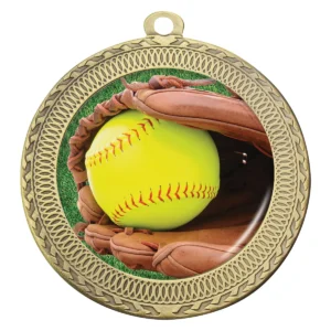 Gold ovation - softball with metal construction