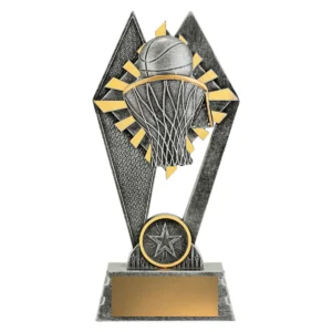 Silver peak - basketball with resin construction