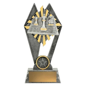 Silver peak - chess with resin construction