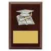 Walnut peak plaque academic with timber construction