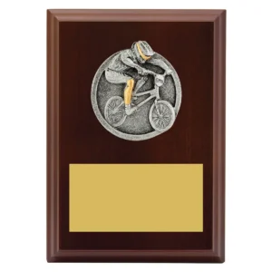 Walnut peak plaque bmx with timber construction