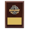 Walnut peak plaque ice hockey with timber construction