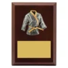 lpf445a-walnut Walnut peak plaque karate with timber construction