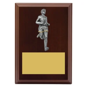 Walnut peak plaque - male with timber construction