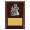 lpf419a-walnut Walnut peak plaque science with timber construction