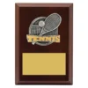 Walnut peak plaque tennis with timber construction